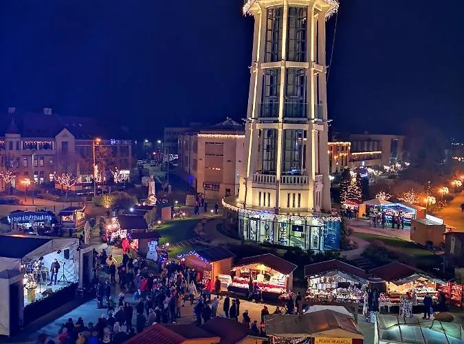 アパート Wellness